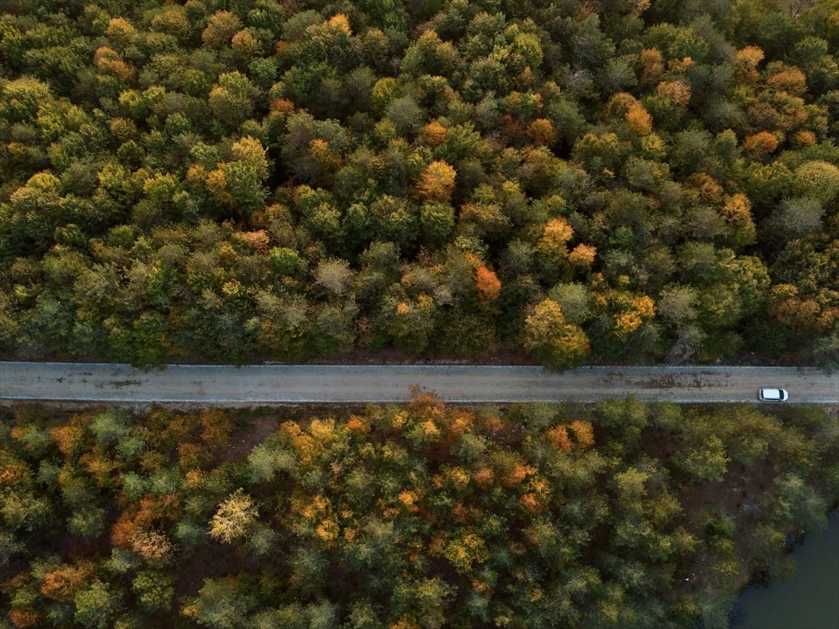 Kurugöl Tabiat Parkı nda doğa görsel şölen sunuyor #10