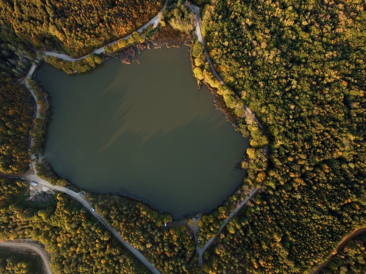 Kurugöl Tabiat Parkı nda doğa görsel şölen sunuyor #4