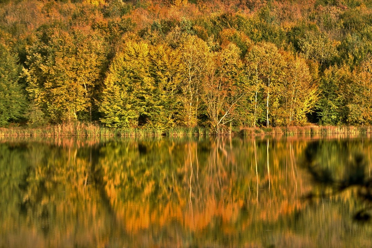 Kurugöl Tabiat Parkı nda doğa görsel şölen sunuyor #8