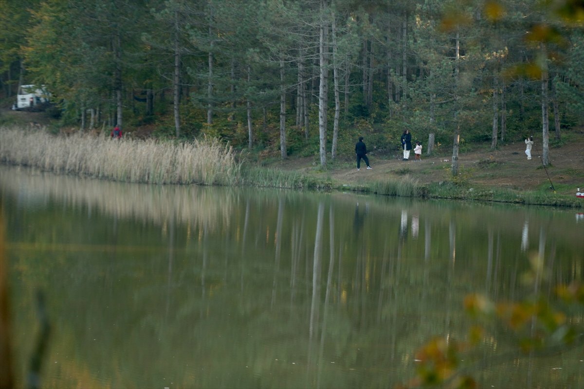 Kurugöl Tabiat Parkı nda doğa görsel şölen sunuyor #6