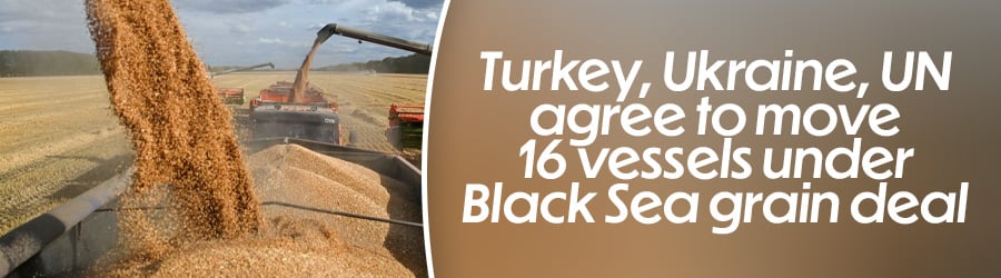 Turkey, Ukraine, UN agree to move 16 vessels under Black Sea grain deal