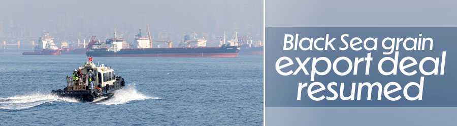 Black Sea grain export deal resumed