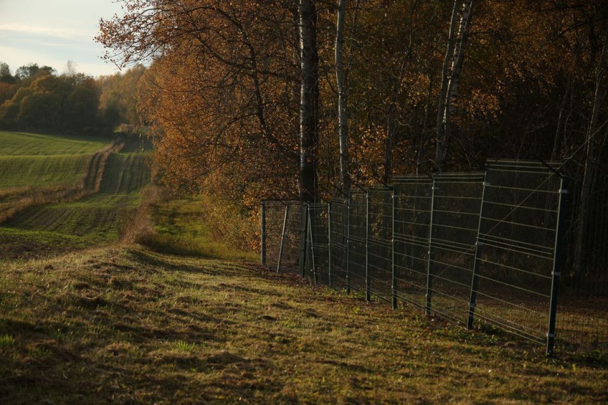Polonya, Kaliningrad sınırına jiletli tel çekmeye başladı #4