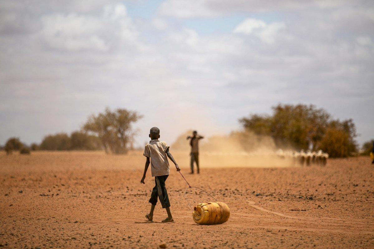 Doğu Afrika da kuraklık 36,1 milyon kişiyi etkiledi #4