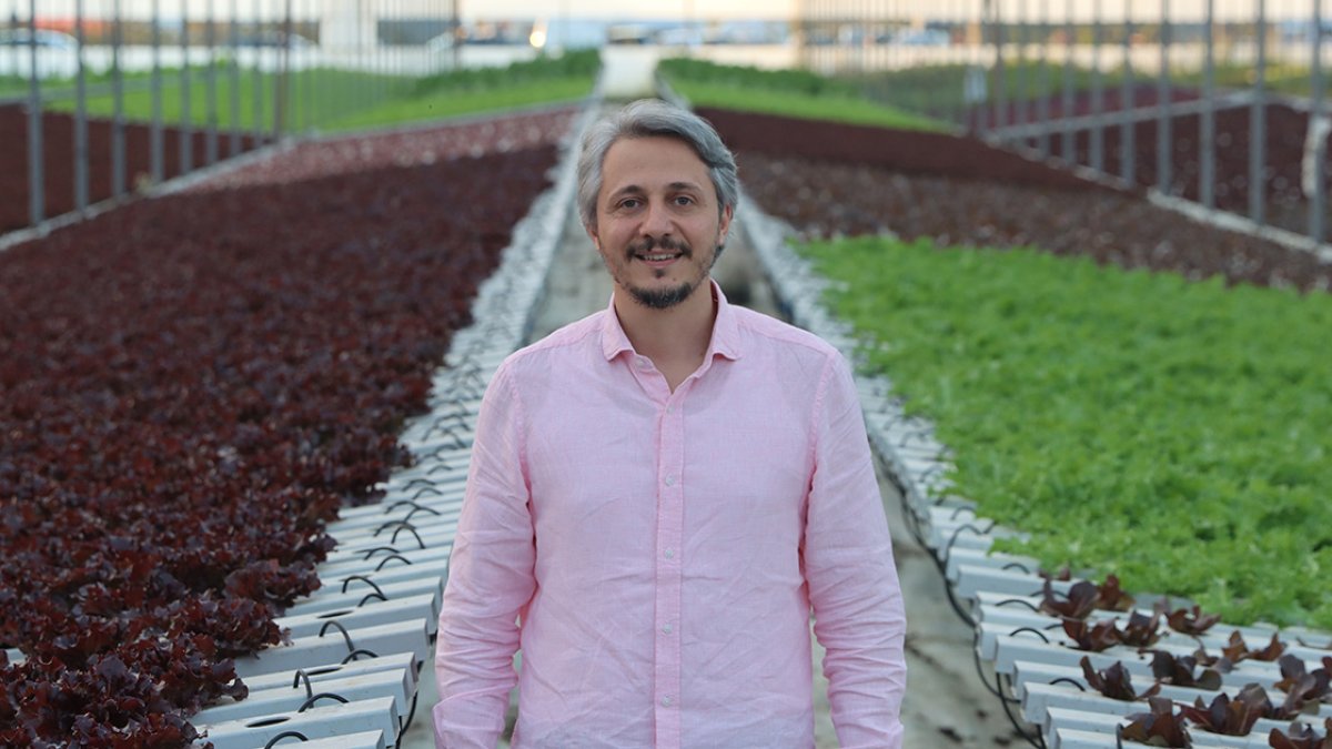 İstanbullu girişimci, topraksız tarımla 21 dönümde 210 dönüme denk ürün yetiştiriyor #2