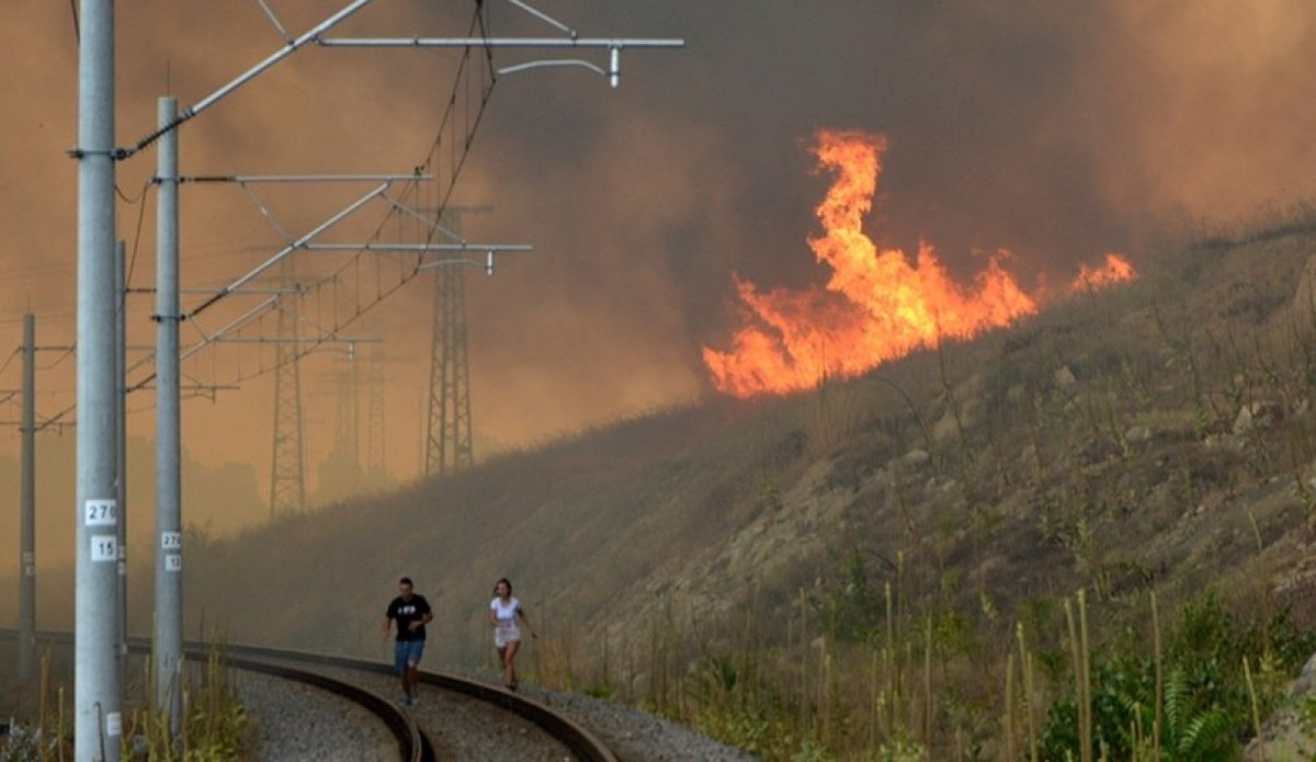Bulgaristan’da askeri üste çıkan yangın 300 dekarlık alana yayıldı #1