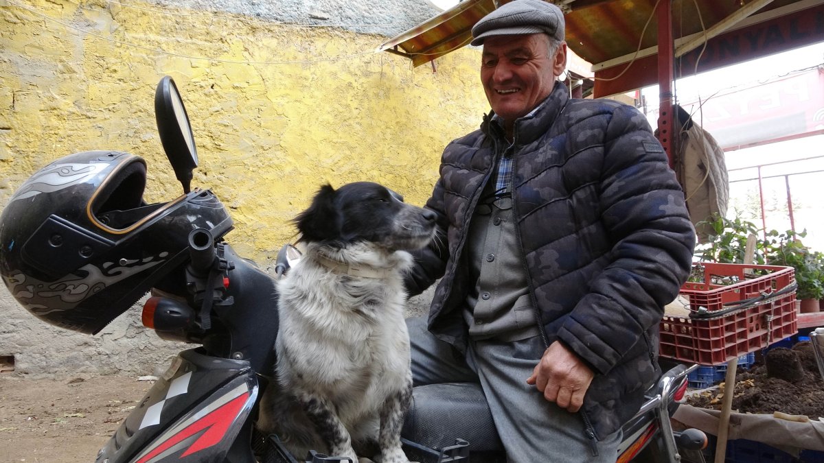 Yozgat ta motosiklet tutkunu köpek görenleri hayrete düşürüyor #1