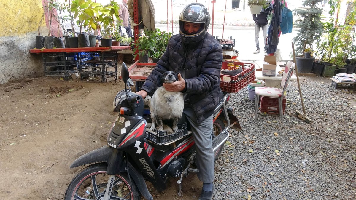 Yozgat ta motosiklet tutkunu köpek görenleri hayrete düşürüyor #4