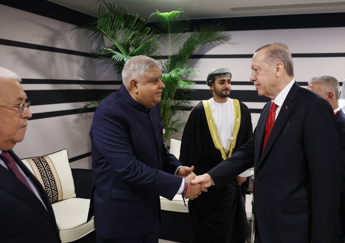 Cumhurbaşkanı Erdoğan ile mevkidaşı Sisi den samimi kareler  #6