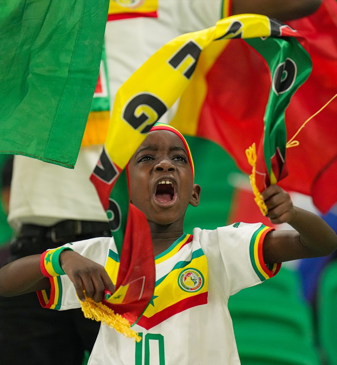 Hollanda - Senegal karşılaşması öncesi trübünler #7