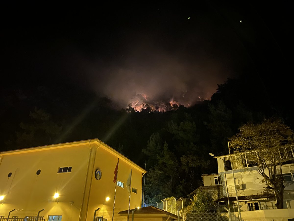 Bartın’da orman yangını meydana geldi: 4 kişi gözaltında #1