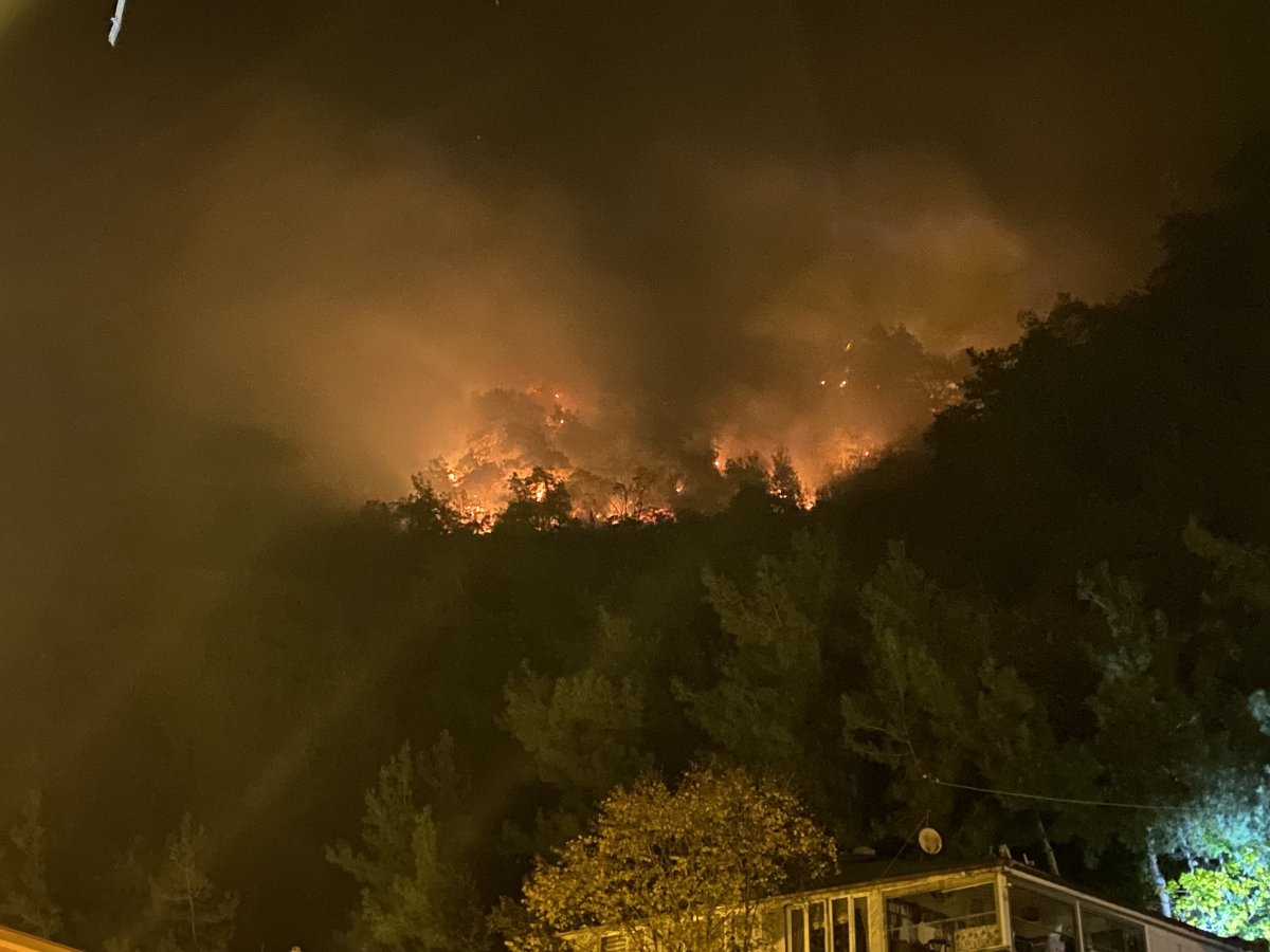 Bartın’da orman yangını meydana geldi: 4 kişi gözaltında #2