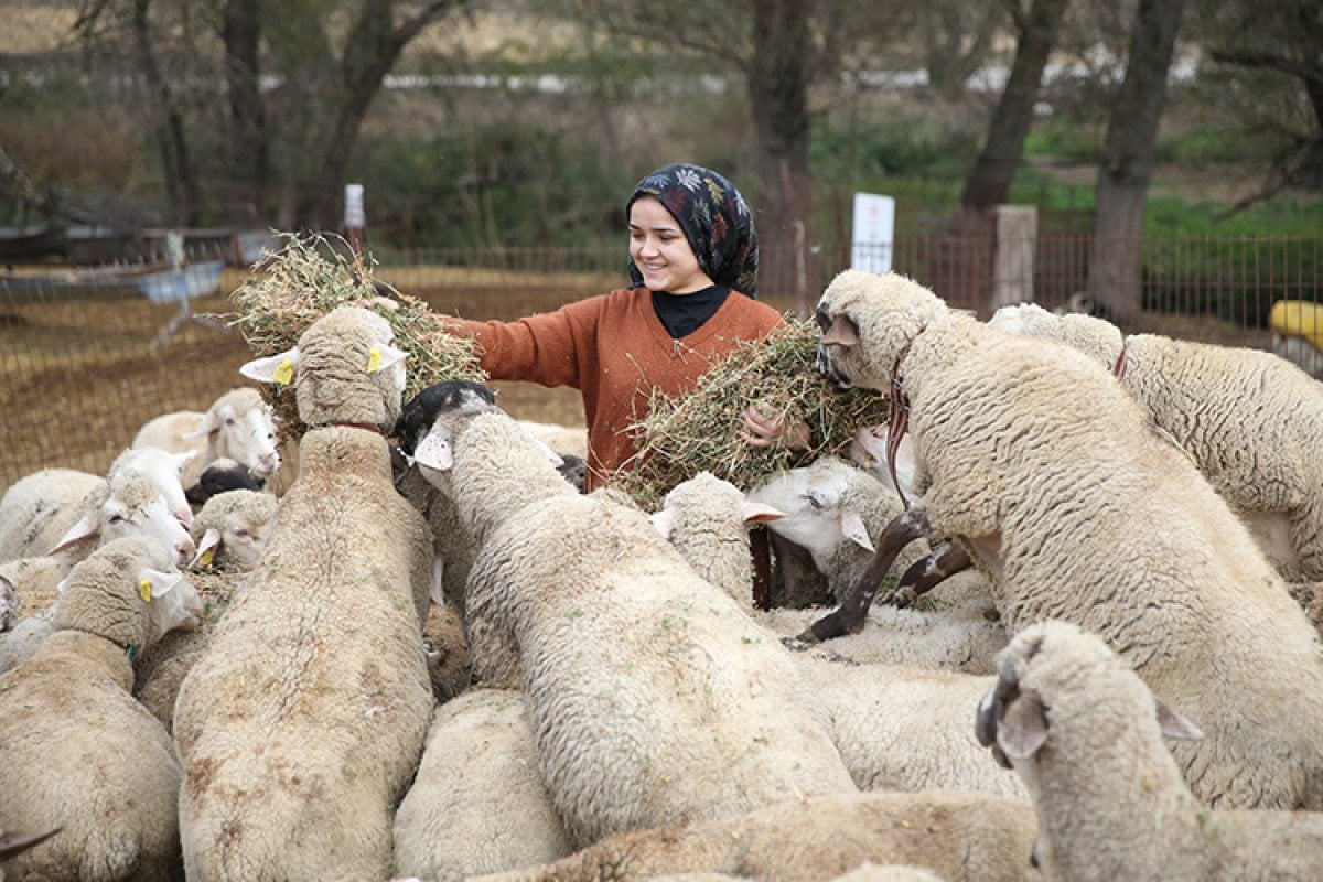 Balıkesir de 21 yaşındaki genç kız devlet desteğiyle çiftçi oldu #3