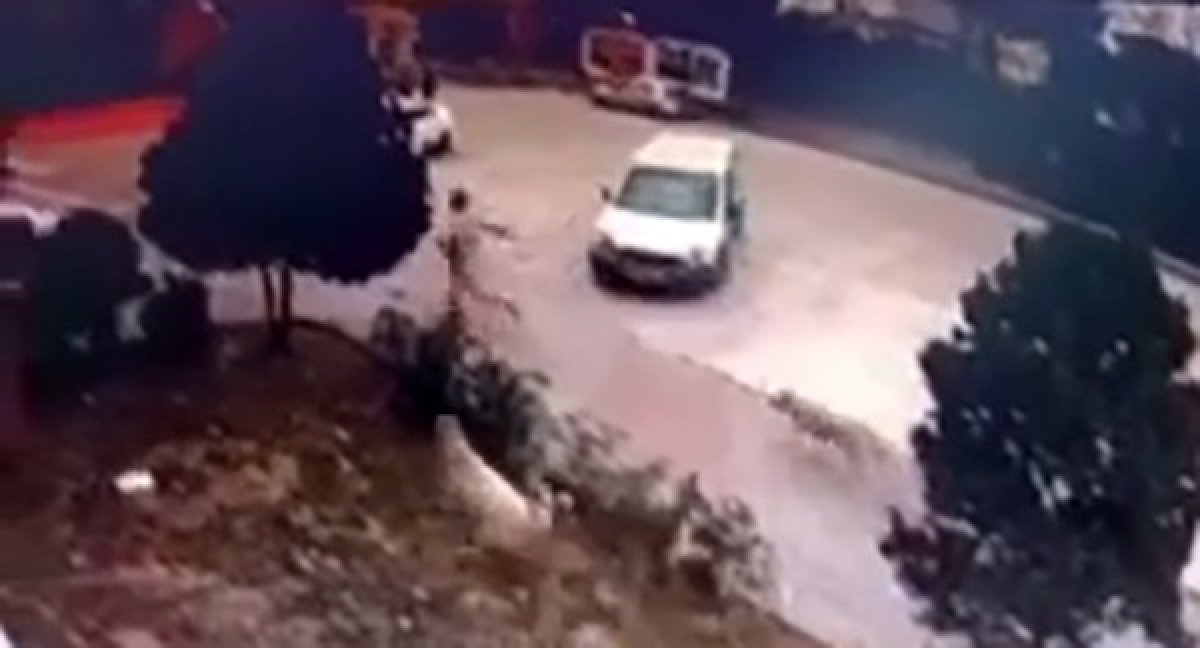 Başakşehir de bir kişi iki sokak köpeği tarafından kovalandı #1