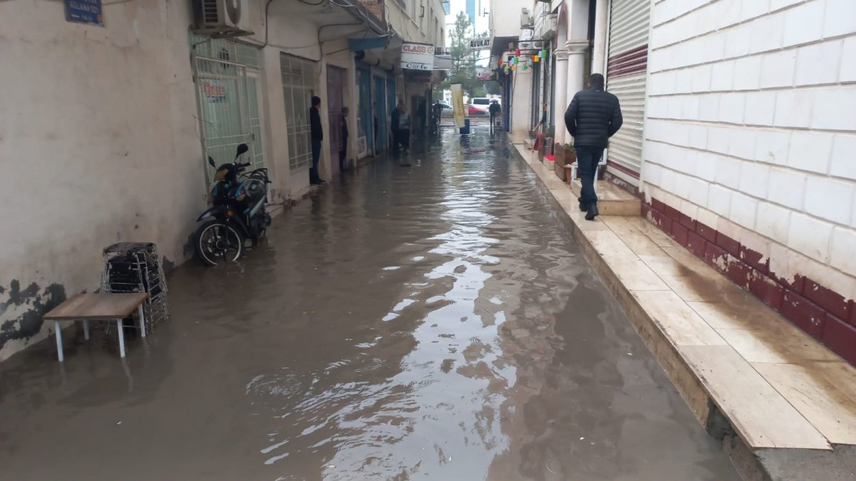 Mardin de yağış su baskını getirdi: Esnaf balık tuttu #3