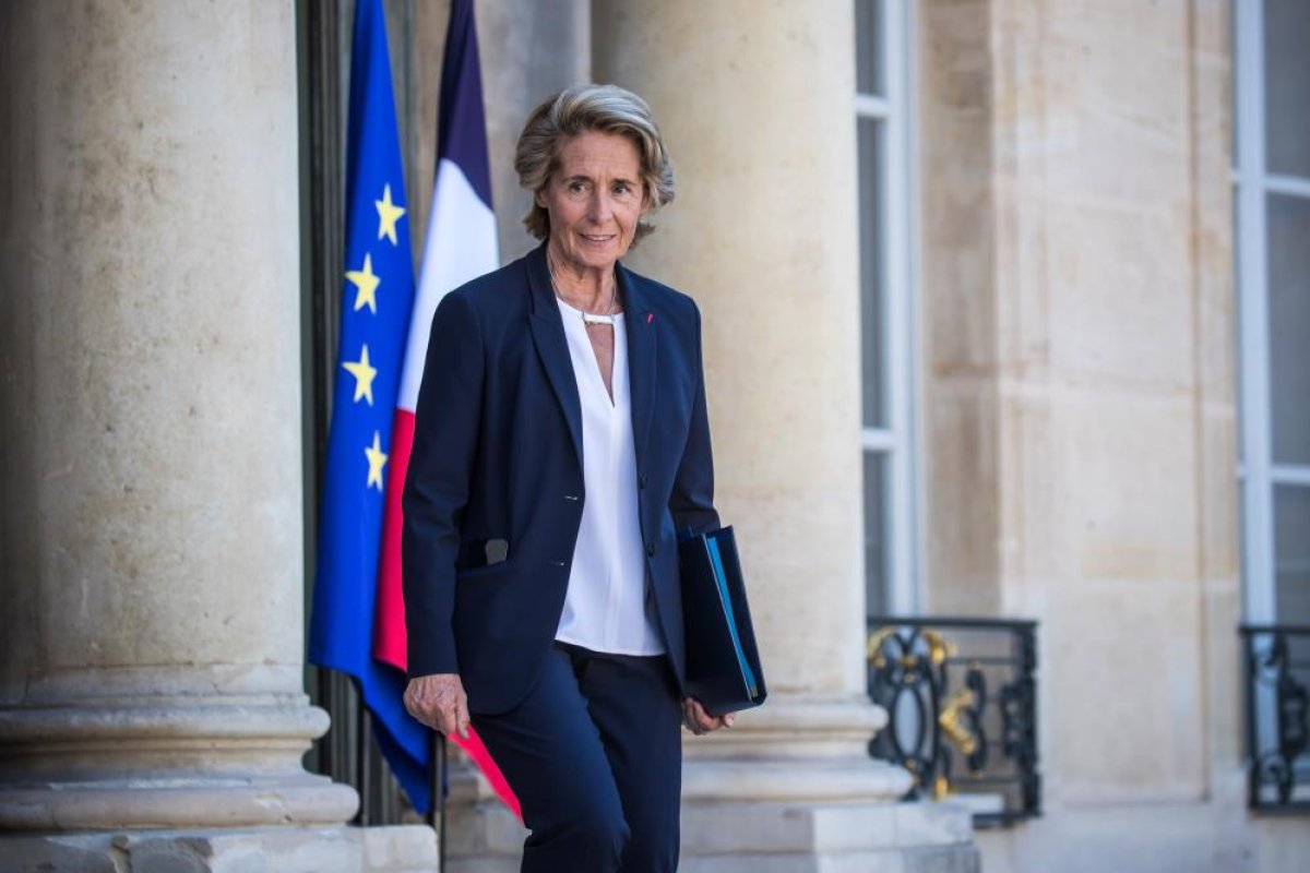 Fransa Bölgesel Uyum Bakanı Cayeux, istifa etti #1