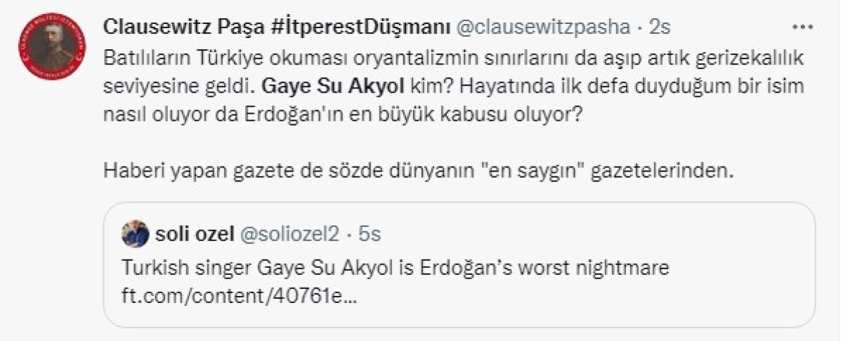 Financial Times: Gaye Su Akyol, Erdoğan ın kabusu #4