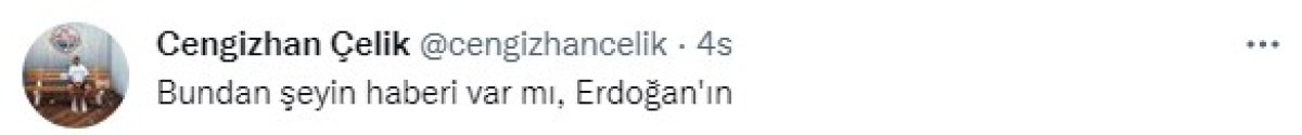 Financial Times: Gaye Su Akyol, Erdoğan ın kabusu #13