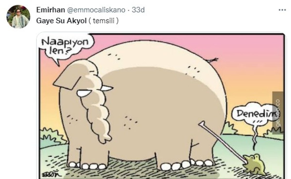 Financial Times: Gaye Su Akyol, Erdoğan ın kabusu #9