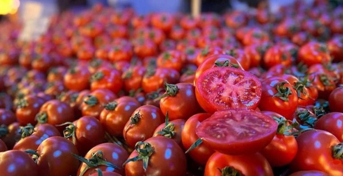 İstanbul da kasım ayında en çok domatesin fiyatı arttı #1