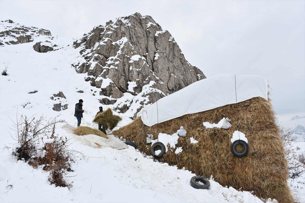 Hakkarili besicilerin zorlu kış mücadelesi #1