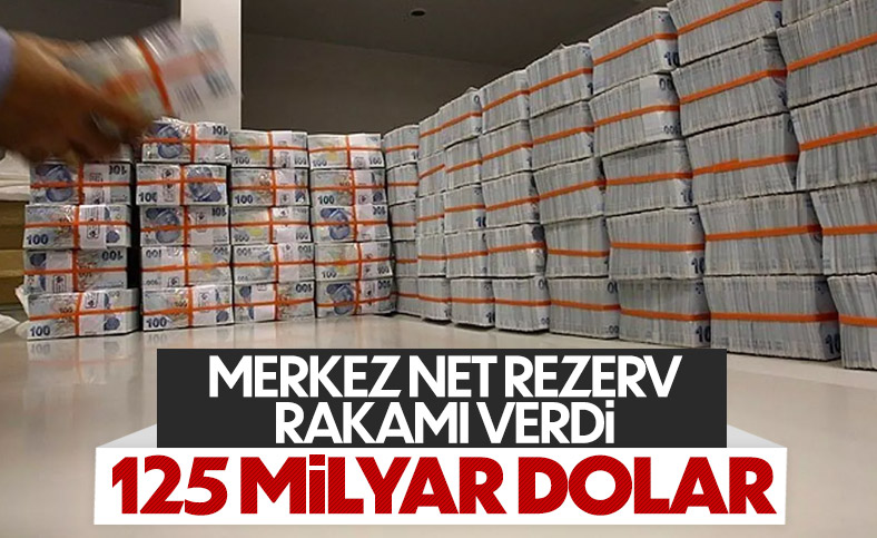 Şahap Kavcıoğlu: Merkez Bankası döviz rezervimiz 125 milyar dolar