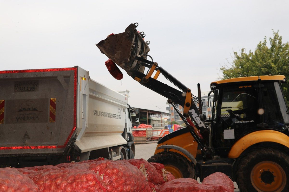 Şanlıurfa’da 22 ton çürümüş soğan ele geçirildi #3