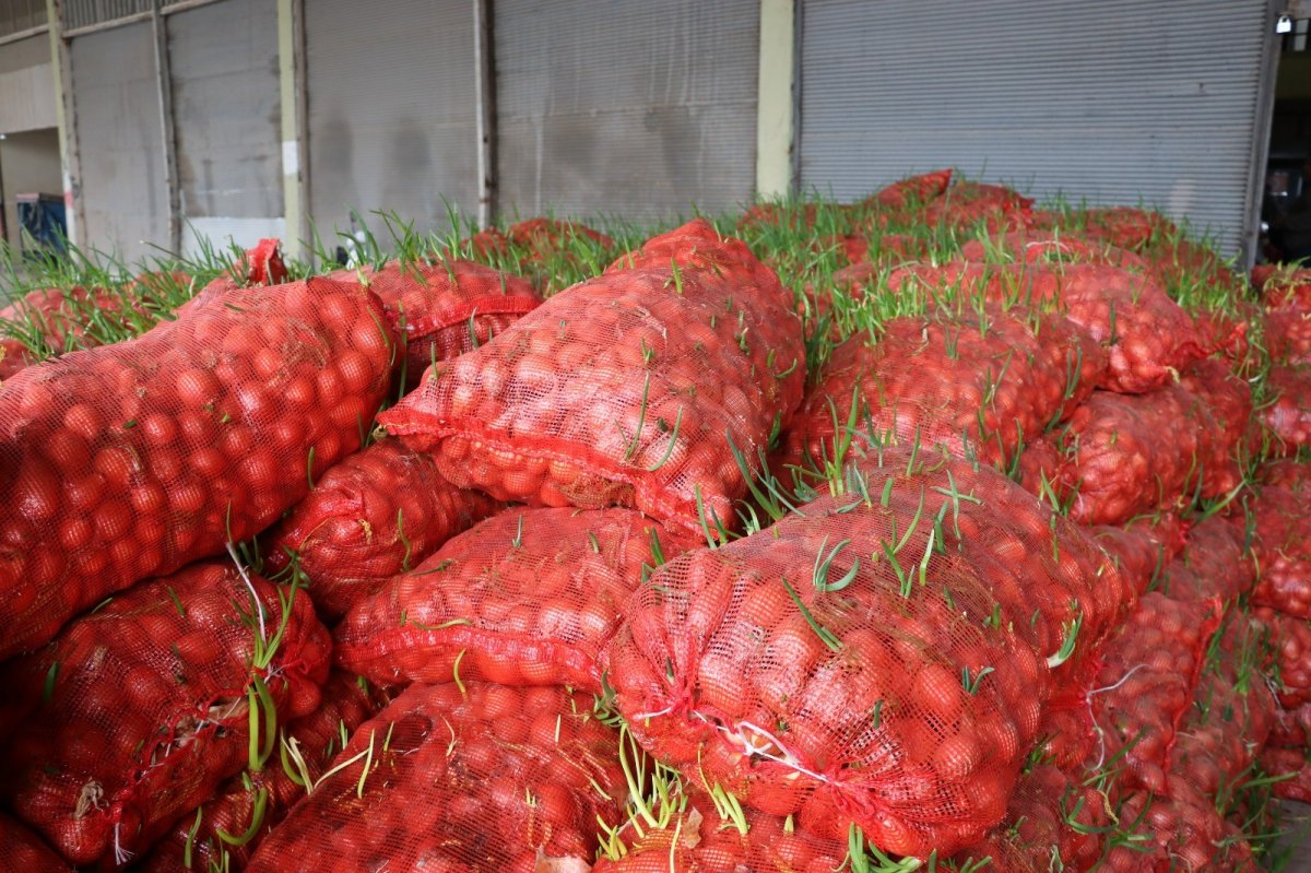 Şanlıurfa’da 22 ton çürümüş soğan ele geçirildi #1