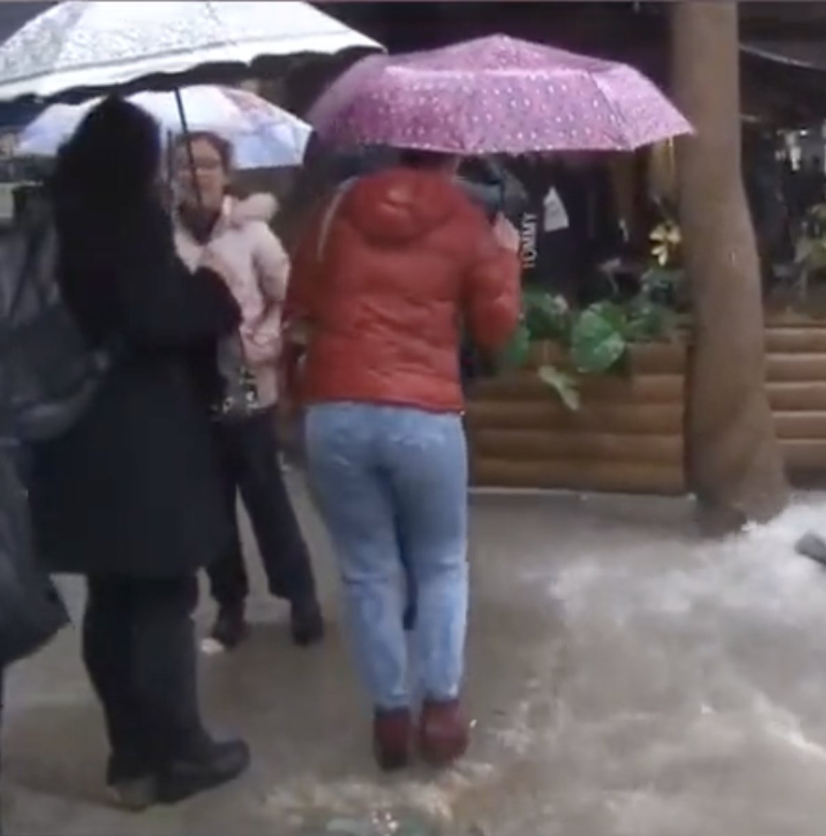İzmir de yağıştan etkilenerek telef olan lağım faresine gözyaşı döktü #4