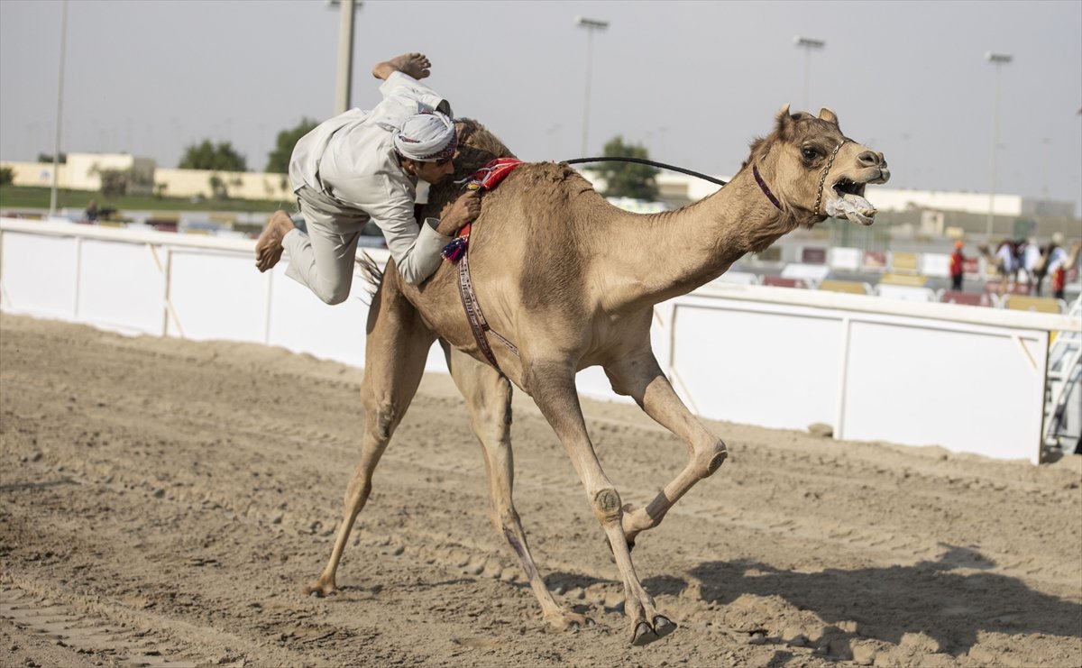 Katar da develer üzerinde hentbol maçı oynandı #7