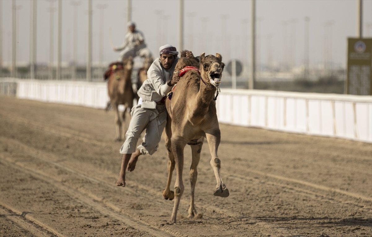 Katar da develer üzerinde hentbol maçı oynandı #6