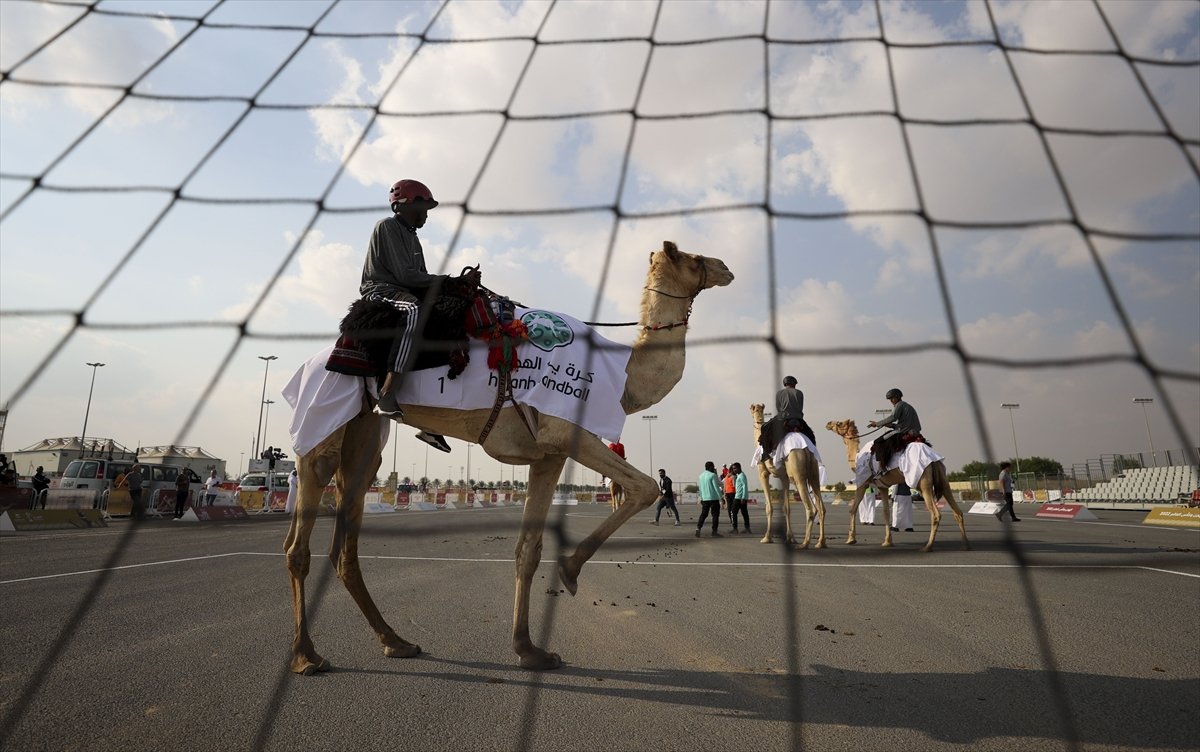 Katar da develer üzerinde hentbol maçı oynandı #9