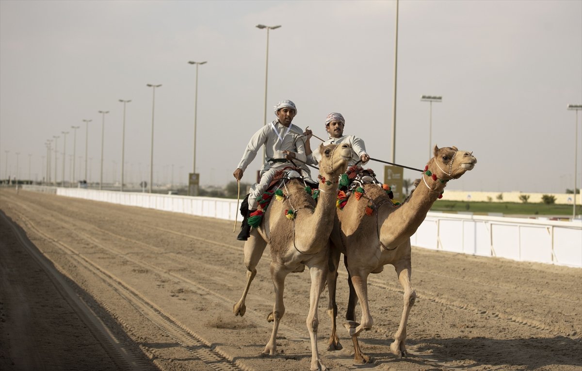 Katar da develer üzerinde hentbol maçı oynandı #8
