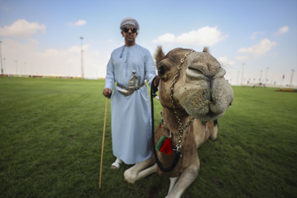 Katar da develer üzerinde hentbol maçı oynandı #12