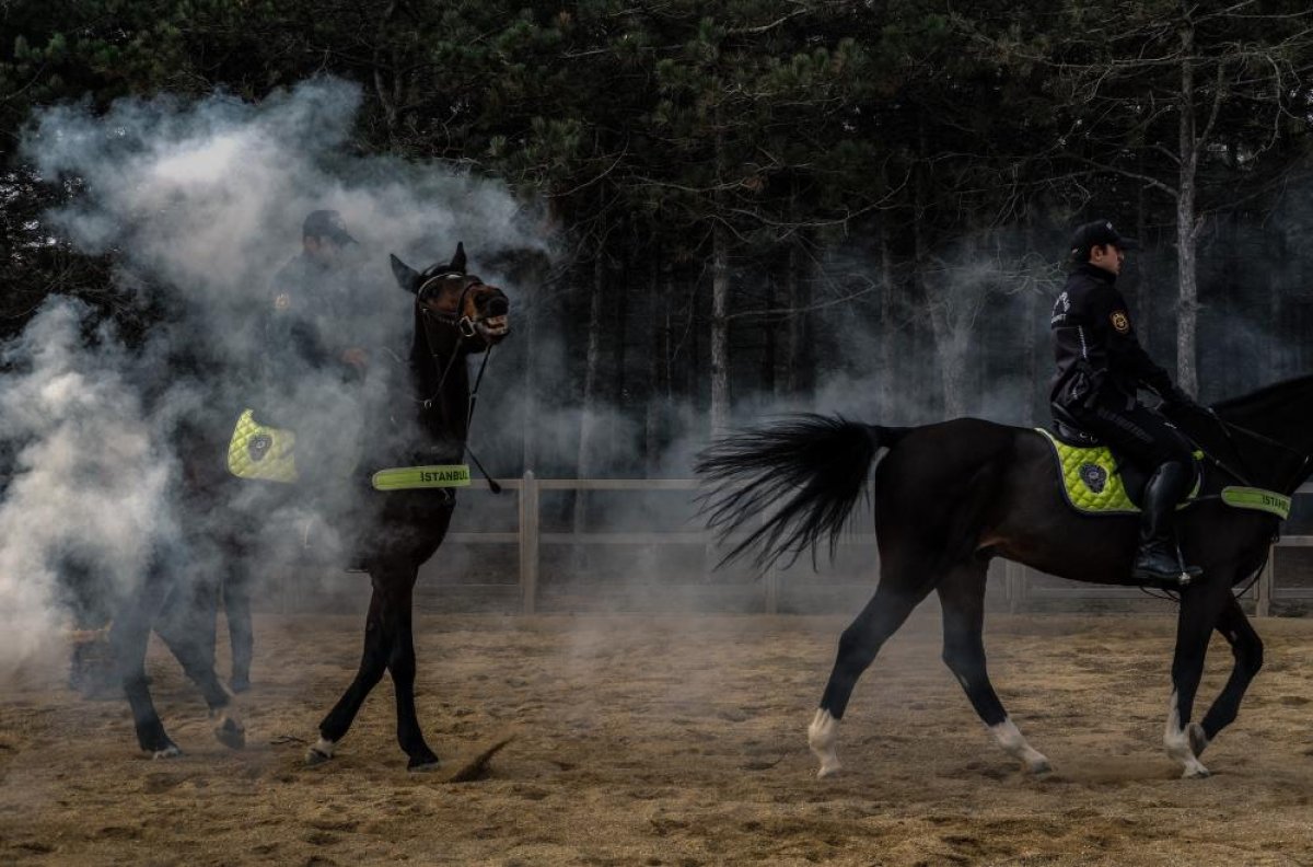 İstanbul’da atlı polislerin tatbikatı hayran bıraktı #4
