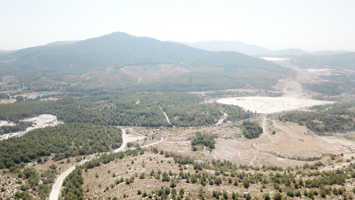 “Ağaç tarımı” yapılarak ekolojik ormanları korumak mümkün #2