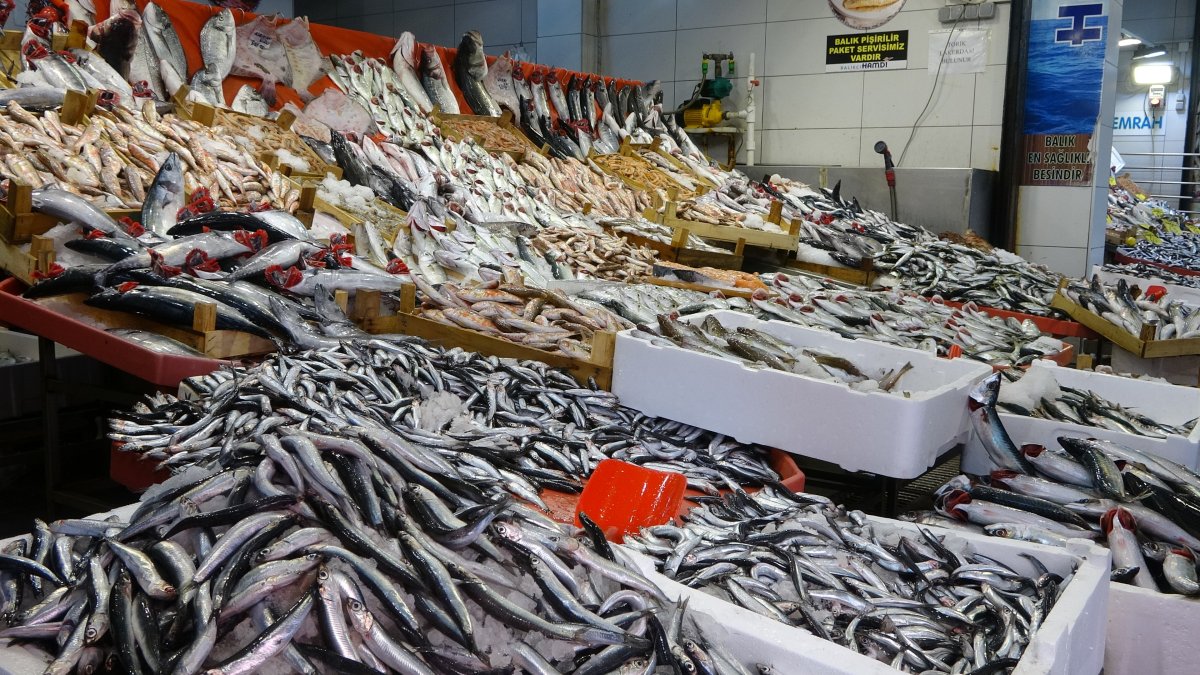Kocaeli de balık fiyatları geriledi #2