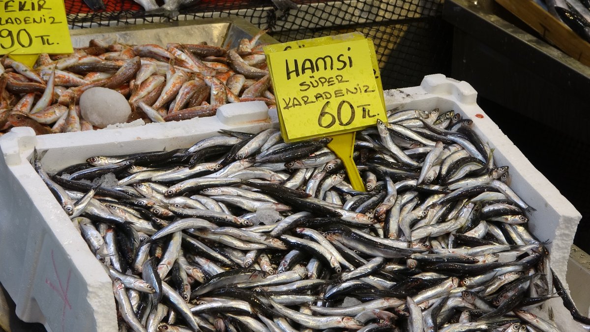 Kocaeli de balık fiyatları geriledi #8