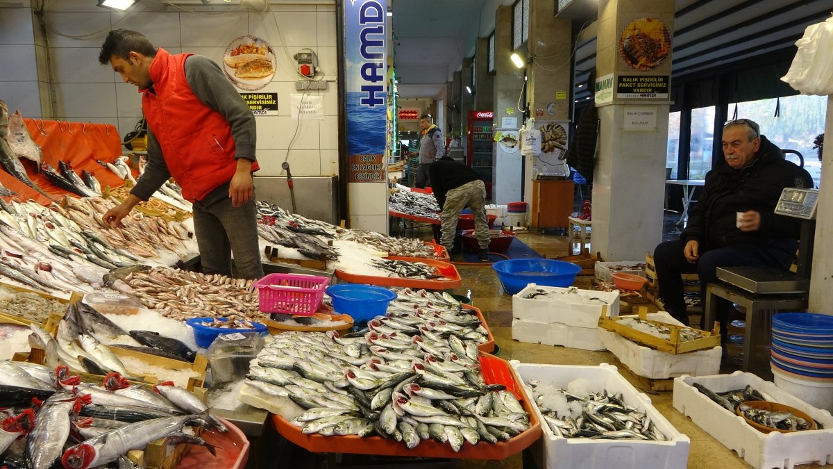 Kocaeli de balık fiyatları geriledi #4