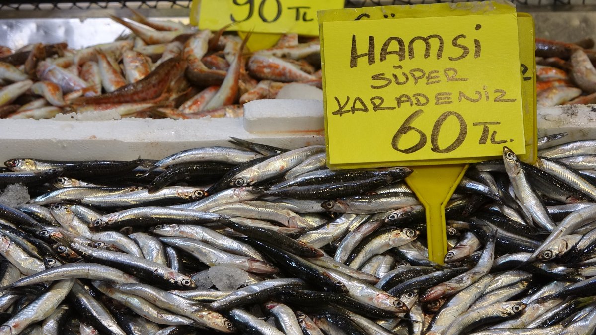 Kocaeli de balık fiyatları geriledi #5