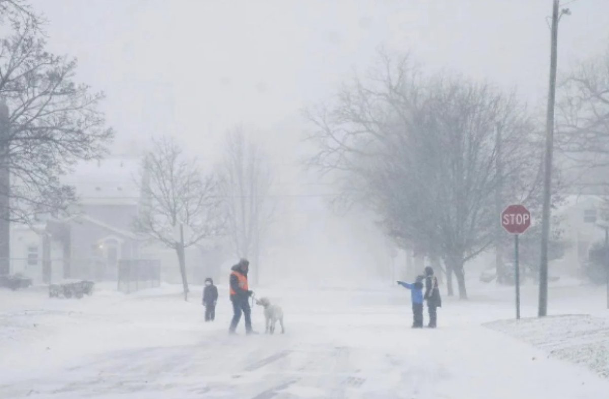 ABD, Kanada ve Japonya da kar fırtınası devam ediyor #6