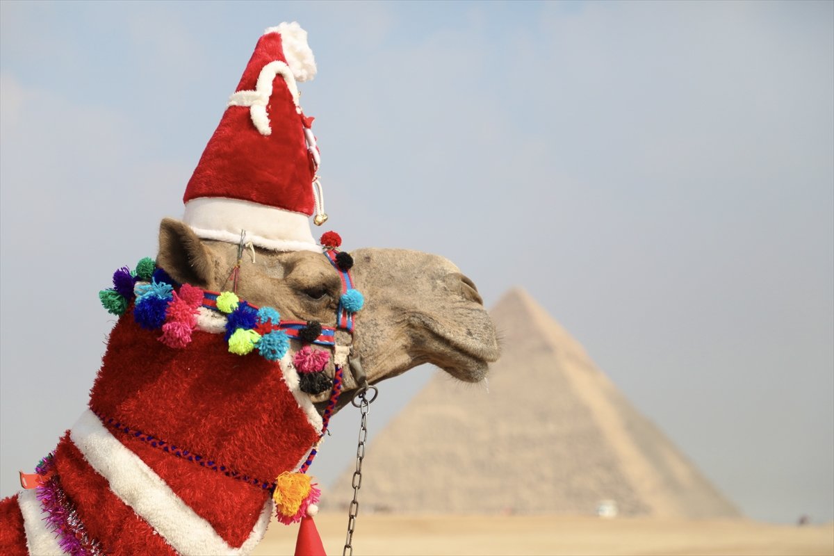 Mısır da deveye Noel baba kıyafeti giydirildi #3