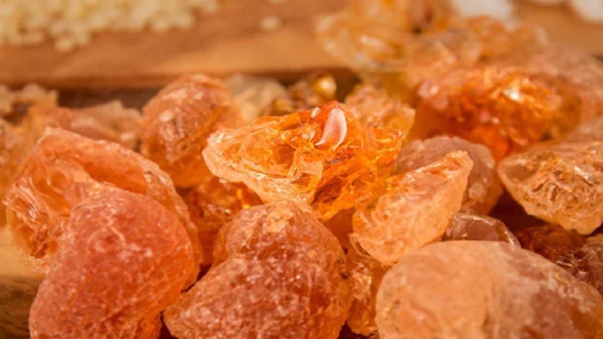 Şifalı şekerleme: Arap zamkı nedir, faydaları nelerdir?  #1