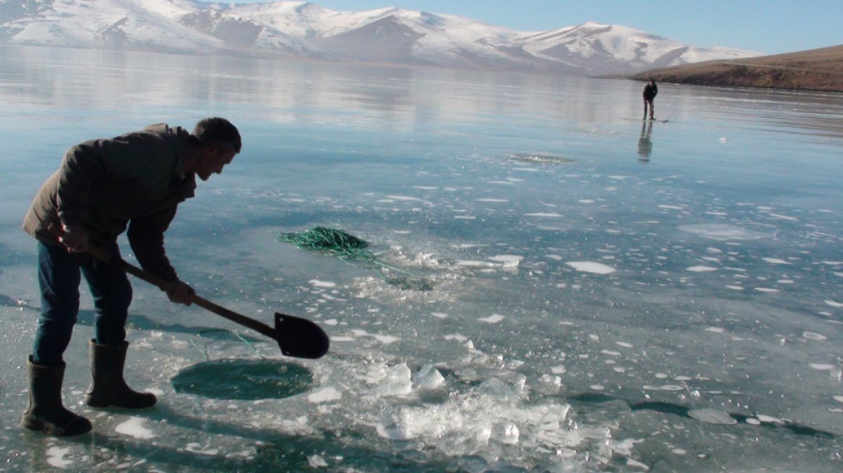 Çıldır Gölü nde Eskimo usulü balık avı başladı #3