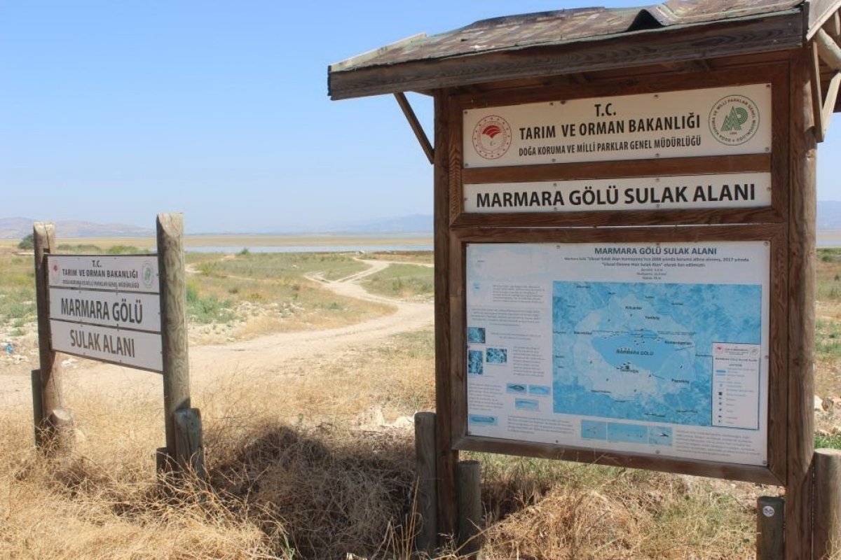 Manisa da kuruyan Marmara Gölü tarla oldu #4