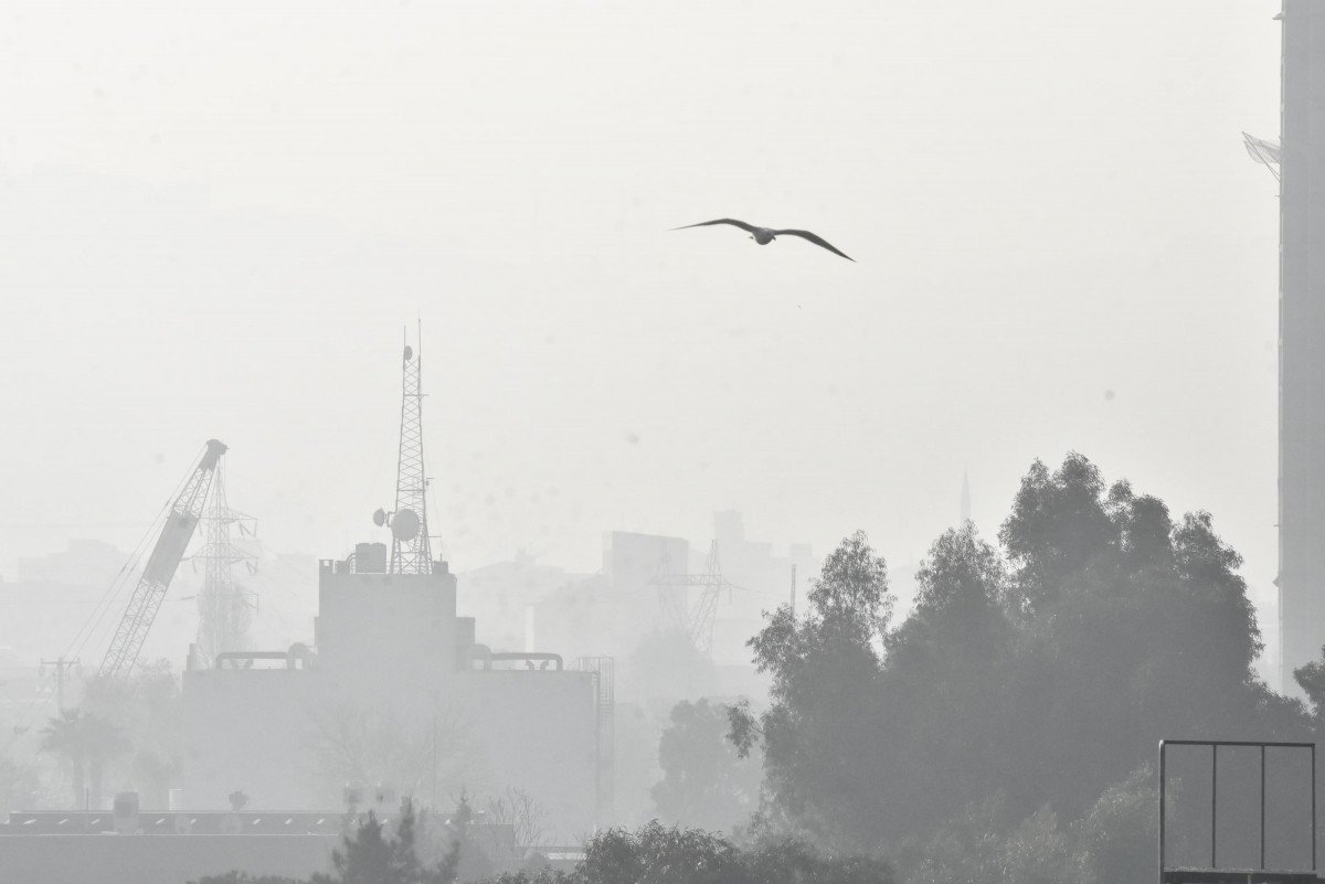 İzmir in hava kalitesi  riskli’ seviyede  #8