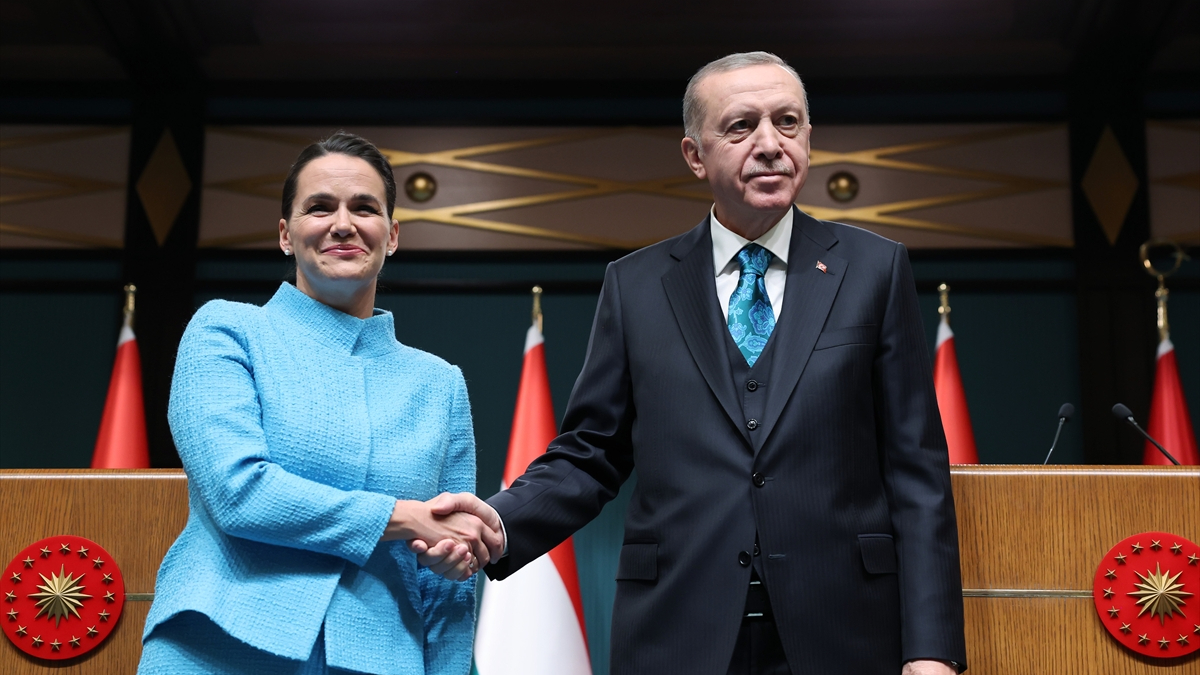 Türkiye'den Macaristan'a 'TANAP' desteği