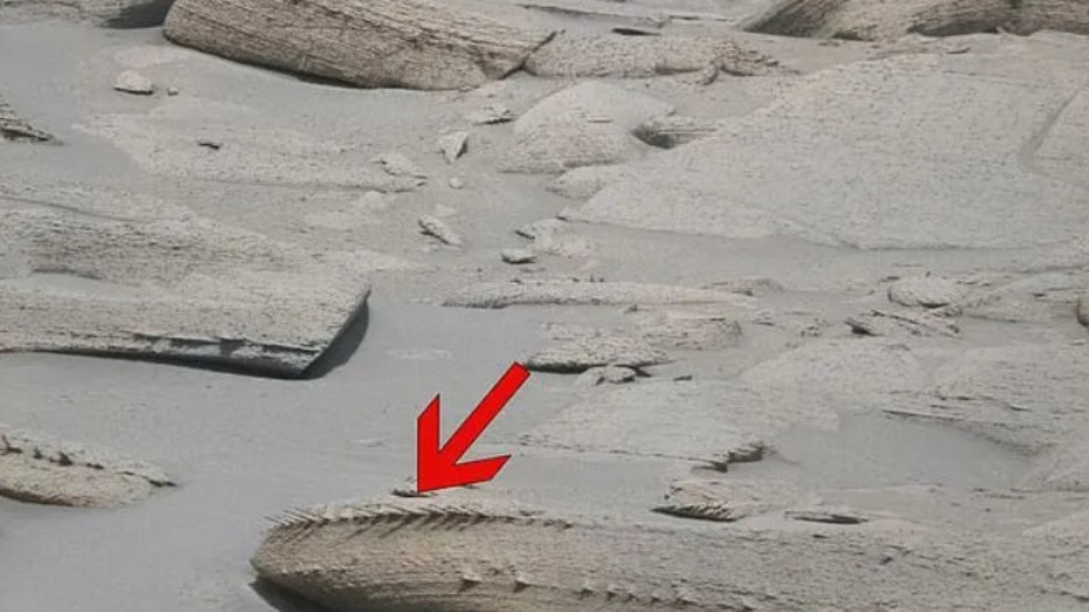 Mars'ta kemik benzeri garip bir cisim keşfedildi