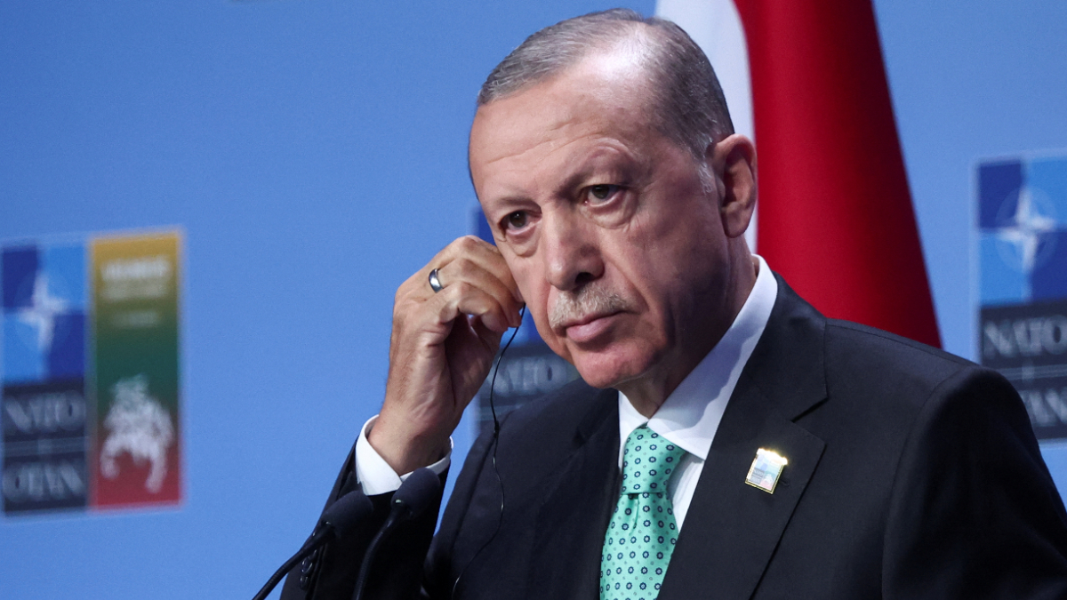 Al Jazeera: Erdoğan, Litvanya'daki NATO Zirvesi'nde meşguldü
