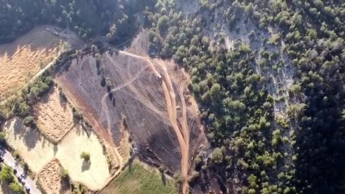 Bolu'da orman yangınında 5 hektarlık alan zarar gördü